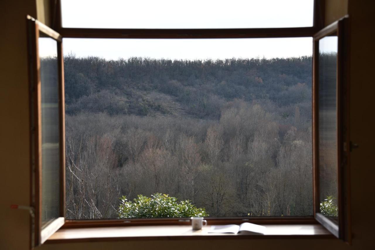 Les Collines Du Quercy Blanc Villa Castelnau-Montratier Ngoại thất bức ảnh