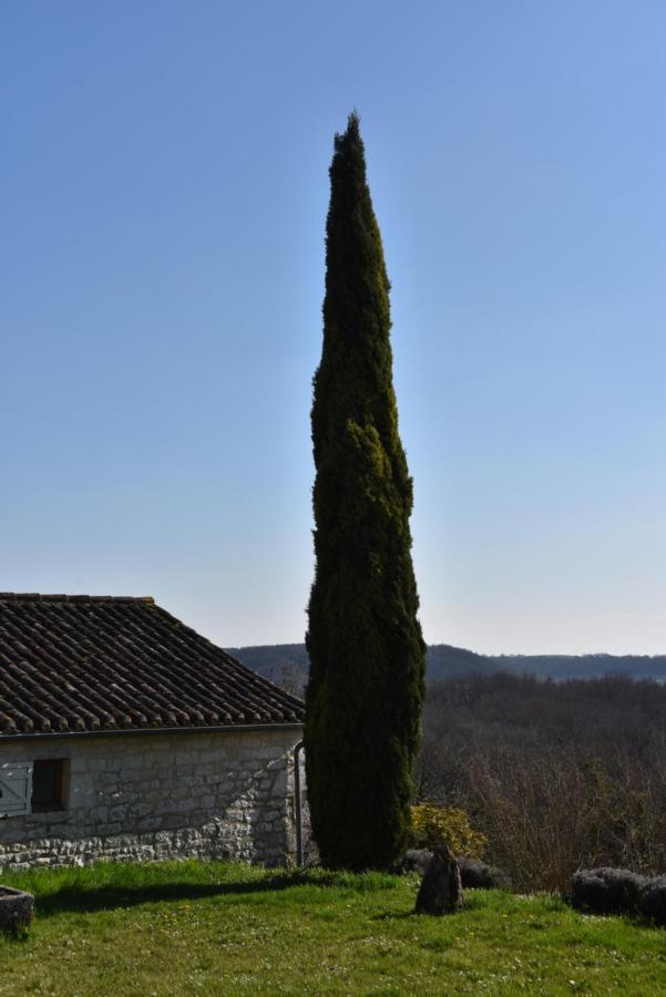 Les Collines Du Quercy Blanc Villa Castelnau-Montratier Ngoại thất bức ảnh